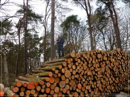 Bosseltour 11.04.2015